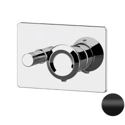Смеситель для ванны и душа Remer RR ET09HRG NO встраиваемый Серия Element