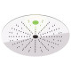 Душевая головка Remer RR SS357REFM44G потолочная