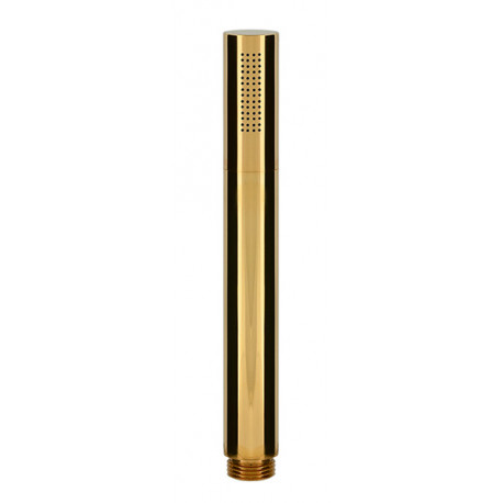 Душевая лейка Remer RR 317MM DO